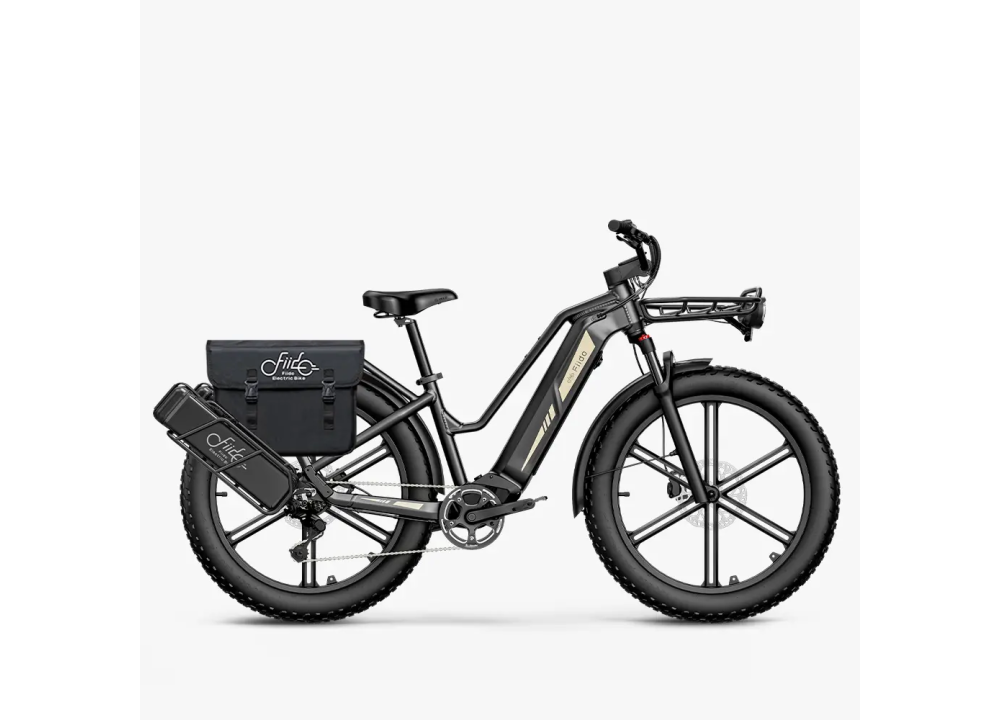 Fiido Titan Robust Cargo Electric Bike |...
