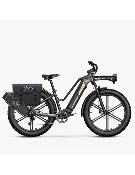 Fiido Titan Robust Cargo Electric Bike | Bicicleta Eléctrica Fat Tire de Gran Autonomía