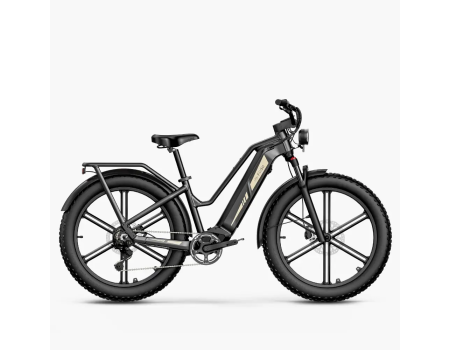 Fiido Titan Robust Cargo Electric Bike | Bicicleta...