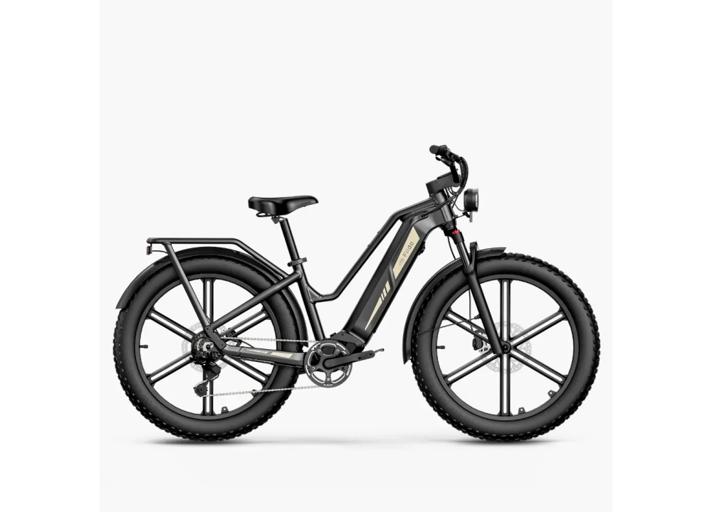 Fiido Titan Robust Cargo Electric Bike |...