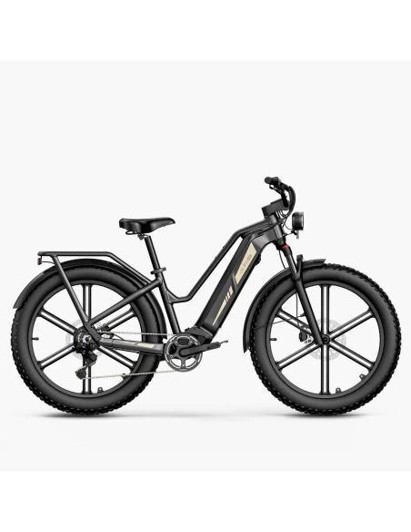 Fiido Titan Robust Cargo Electric Bike | Bicicleta Eléctrica Fat Tire de Gran Autonomía