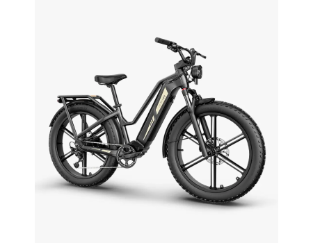 Fiido Titan Robust Cargo Electric Bike | Bicicleta... 2