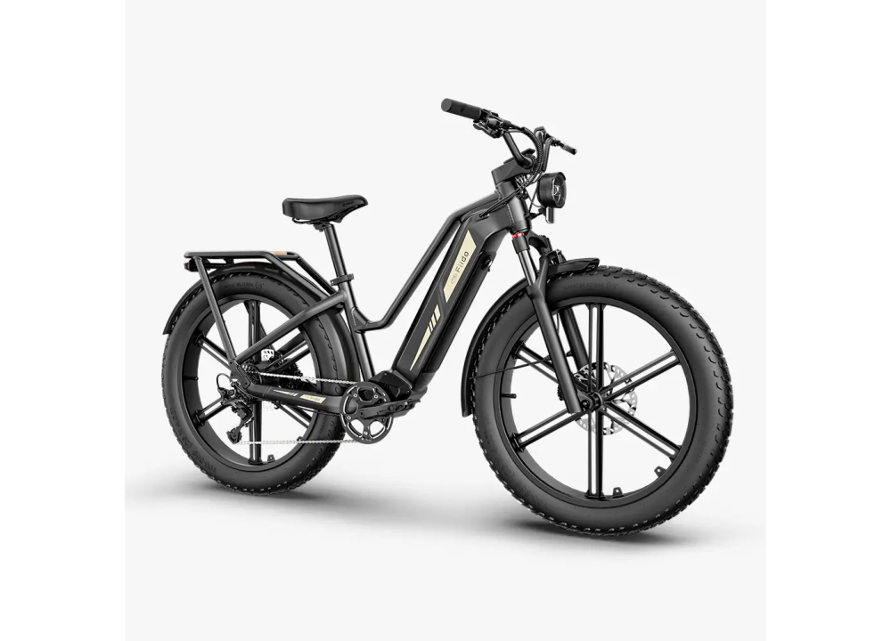 Fiido Titan Robust Cargo Electric Bike |...