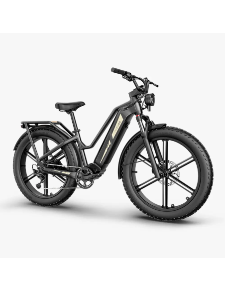 Fiido Titan Robust Cargo Electric Bike | Bicicleta Eléctrica Fat Tire de Gran Autonomía