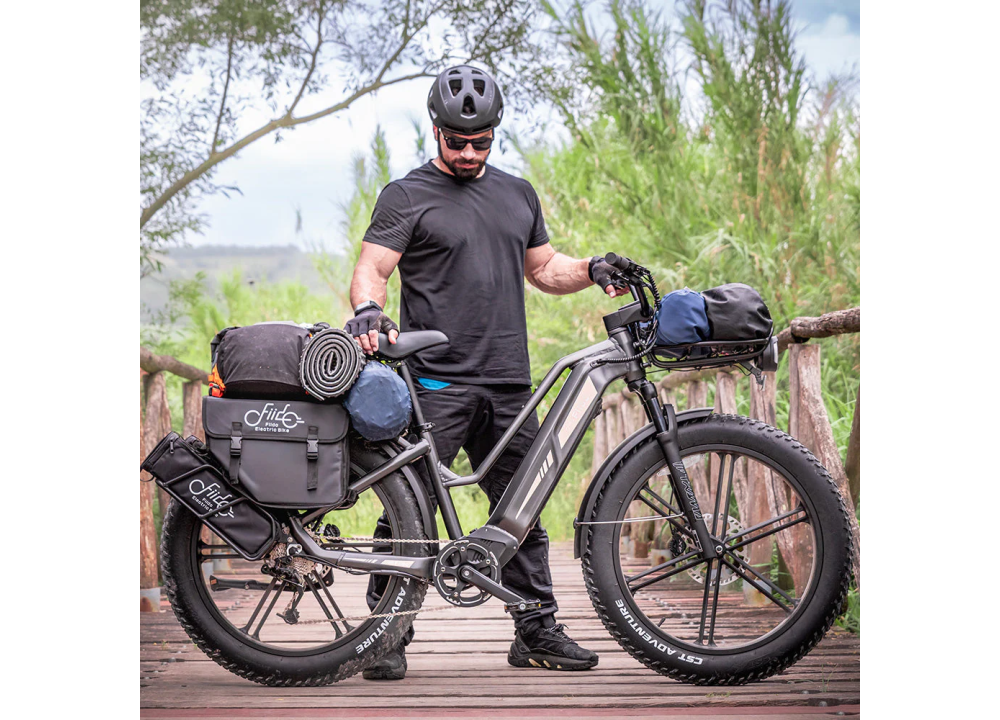 Fiido Titan Robust Cargo Electric Bike |...