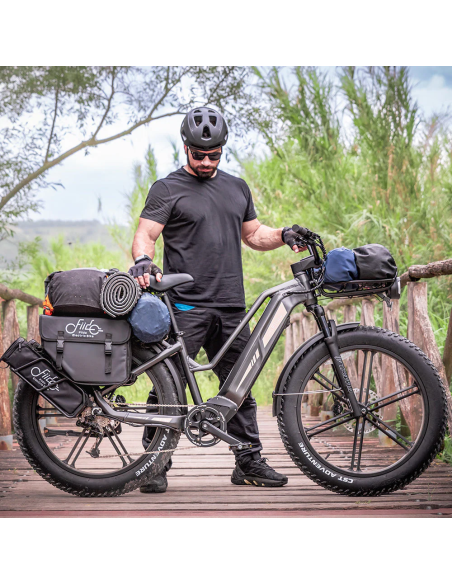 Fiido Titan Robust Cargo Electric Bike | Bicicleta Eléctrica Fat Tire de Gran Autonomía