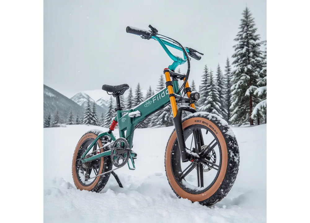 Fiido M1 Pro | Bicicleta Eléctrica Plegable...