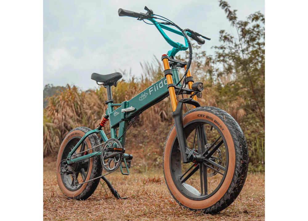 Fiido M1 Pro | Bicicleta Eléctrica Plegable...