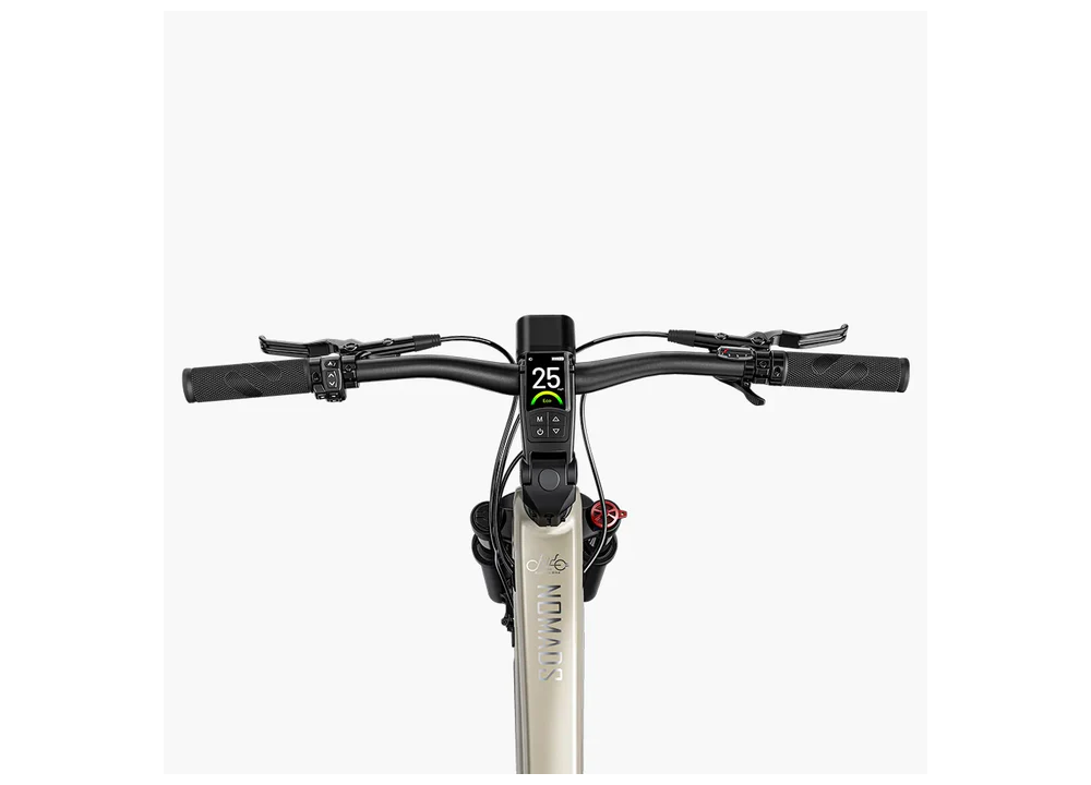 Fiido Nomads Trekking E-bike | Bicicleta...