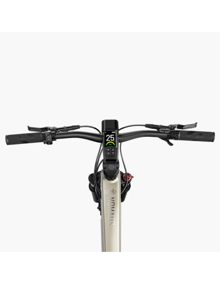 Fiido Nomads Trekking E-bike | Bicicleta Eléctrica de Turismo con Autonomía Extensible