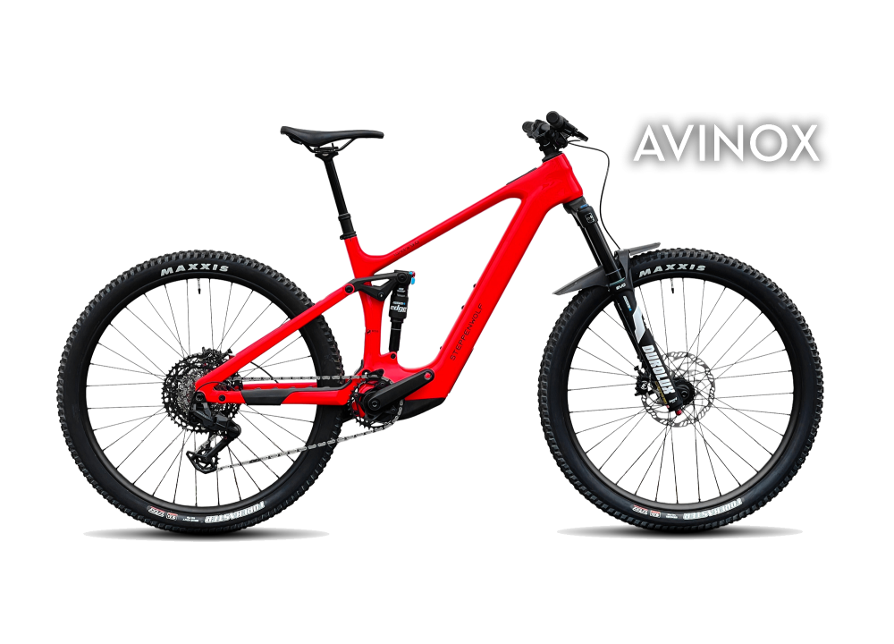 Bicicleta Steppenwolf Tundra 9.0 con motor...