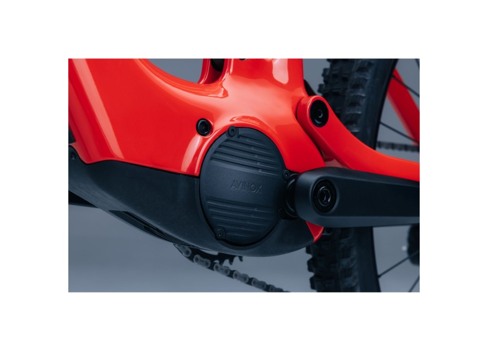 Bicicleta Steppenwolf Tundra 9.0 con motor...