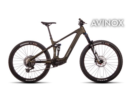 Bicicleta Steppenwolf Tundra 9.0 con motor Avinox M2S