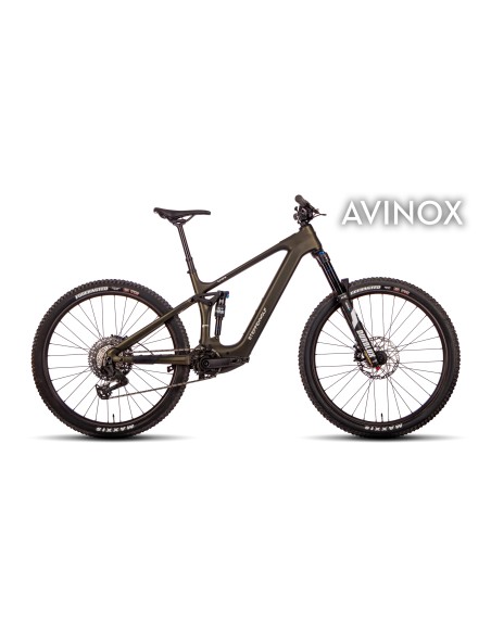 Bicicleta Steppenwolf Tundra 9.0 con motor Avinox