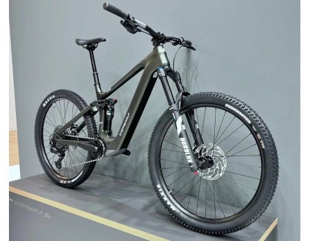 Bicicleta Steppenwolf Tundra 9.0 con motor Avinox M2S 2