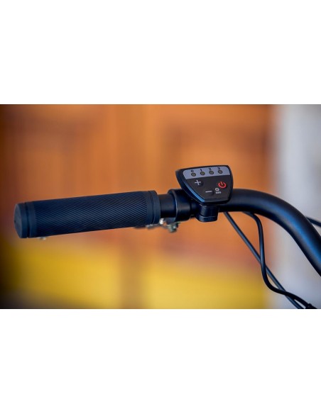 Triciclo MONTY Bikes NUKE 24 ME542