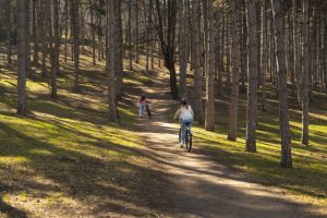 Rutas en bici por Zamora