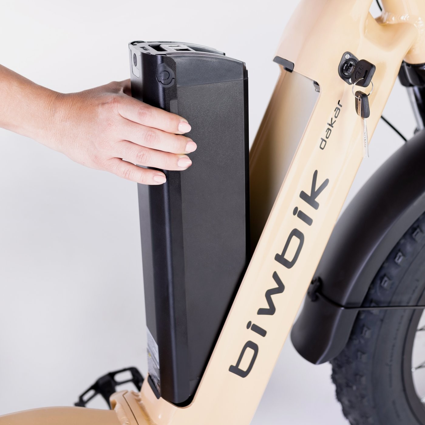 Bicicleta eléctrica plegable Biwbik NEGRA