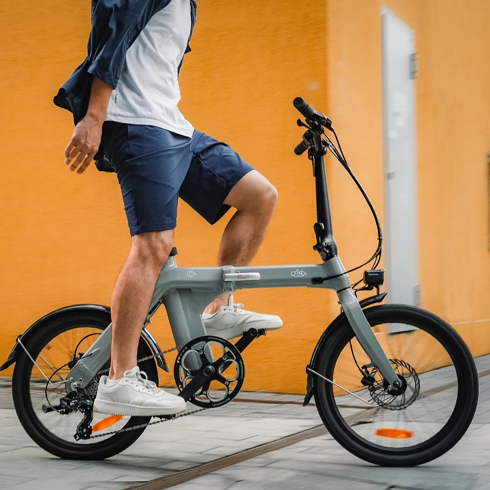 Fiido D11 Bicicleta Electrica Plegable De Largo Alcance