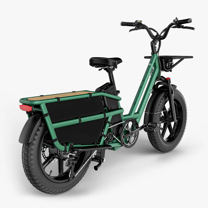 Fiido T2 Longtail Cargo E-bike | Bicicleta Eléctrica de Carga Versátil y Familiar