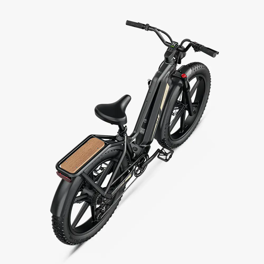 Fiido Titan Robust Cargo Electric Bike | Bicicleta Eléctrica Fat Tire de Gran Autonomía
