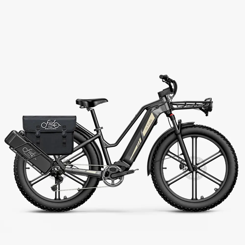 Fiido Titan Robust Cargo Electric Bike | Bicicleta Eléctrica Fat Tire de Gran Autonomía