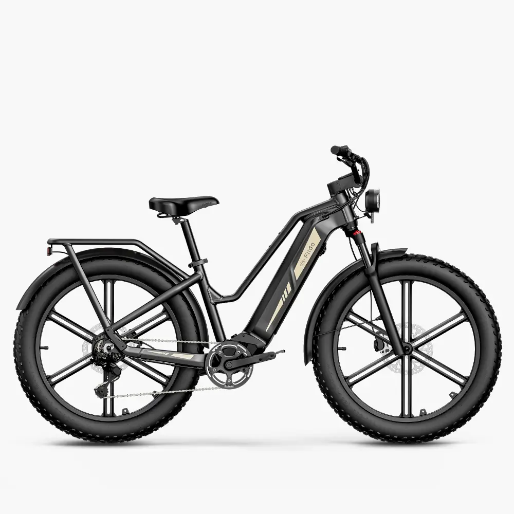 Fiido Titan Robust Cargo Electric Bike | Bicicleta Eléctrica Fat Tire de Gran Autonomía