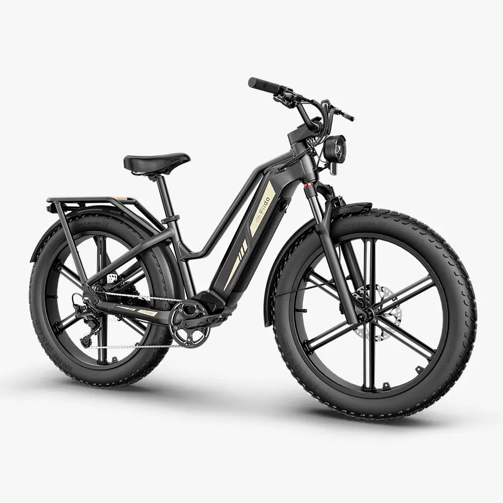 Fiido Titan Robust Cargo Electric Bike | Bicicleta Eléctrica Fat Tire de Gran Autonomía