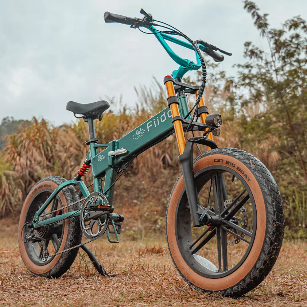 Fiido M1 Pro | Bicicleta Eléctrica Plegable Todoterreno con Doble Suspensión