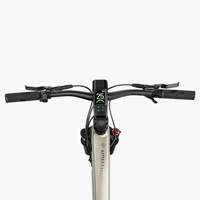 Fiido Nomads Trekking E-bike | Bicicleta Eléctrica de Turismo con Autonomía Extensible