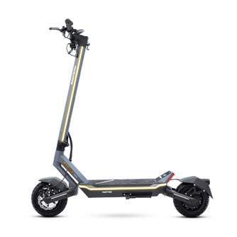 Patinete eléctrico smartGyro Raptor Evo