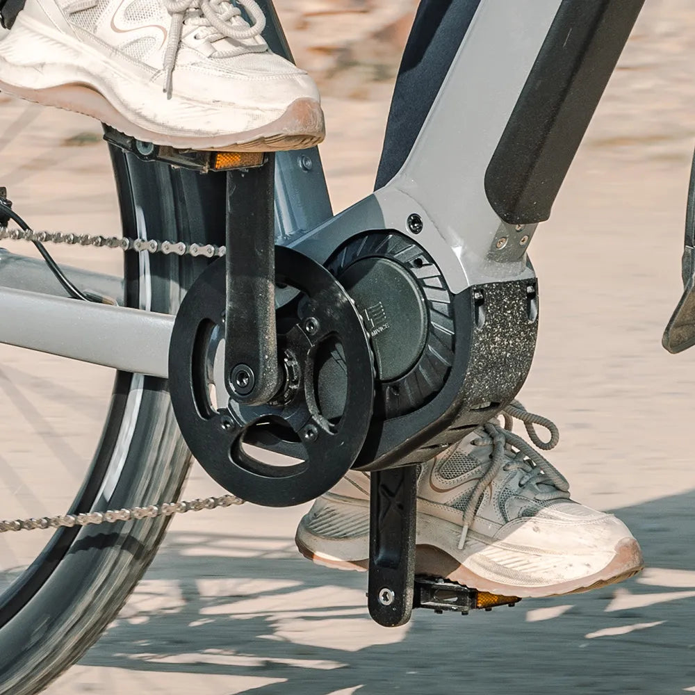 Fiido Nomads Pro Trekking E-bike | Bicicleta Eléctrica de Turismo con Motor Central de 100 Nm